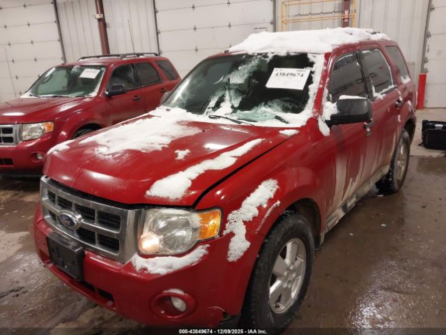 Ford Escape Xlt Automatic Image 4