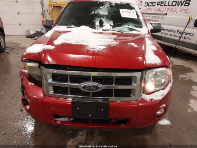 Ford Escape Xlt Automatic Image 6