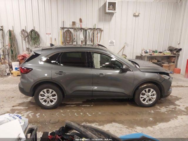 Ford Escape Active Image 8