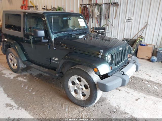 Jeep Wrangler Sahara Image 1