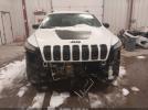 Jeep Cherokee Altitude 4x4 Image 8